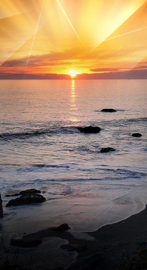 Ocean View Website Sidebar